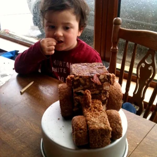 The cake that changed everything, 2013, photo 2