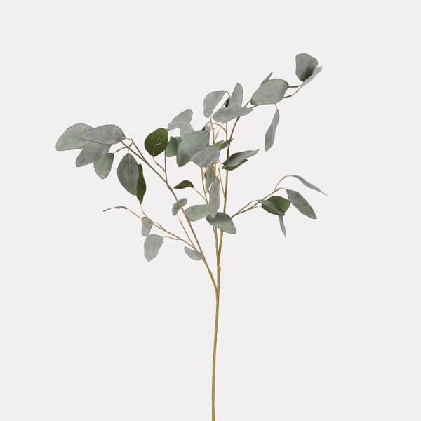 Silver Dollar Eucalyptus Spray