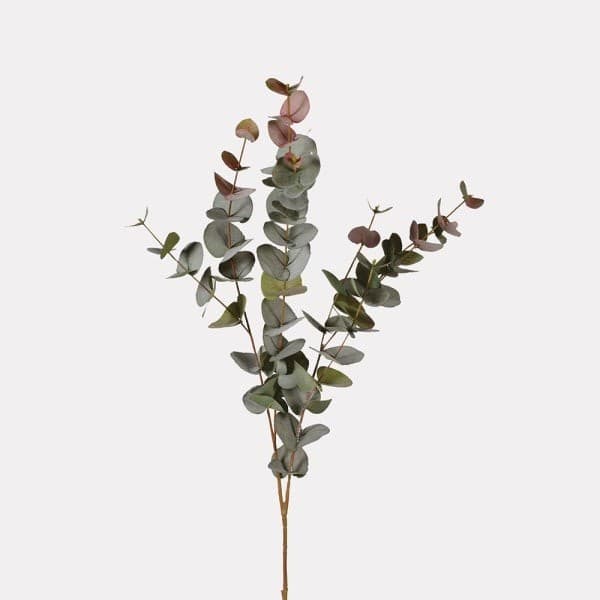 Natural Blush Eucalyptus Sprig