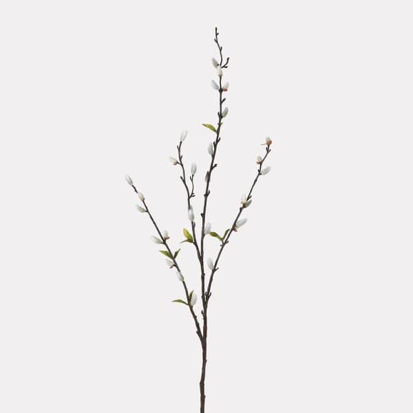 Natural Pussy Willow Stem with Leaves